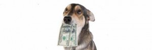 Il cane che usa i soldi